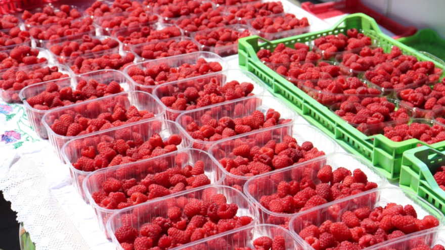 Otvoreni "Dani maline": Potražnja velika, kao i cijena