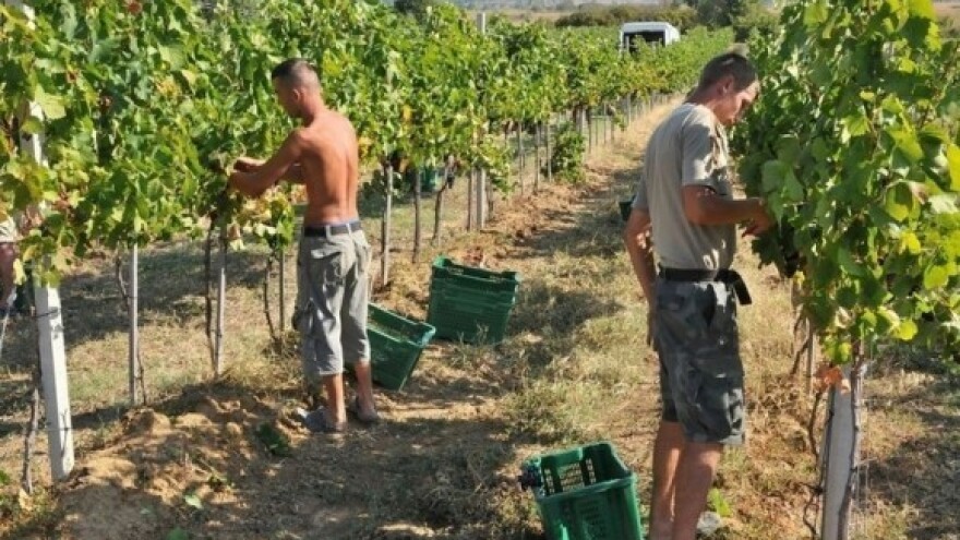 Zadrugarsko poticanje ruralnog razvoja