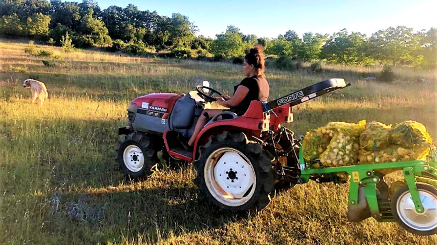 Znate li za autohtoni rodaljički luk? Uzgaja ga Marina Šunić, najuzornija hrvatska seoska žena