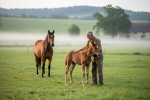 5. savjetovanje uzgajivača konja