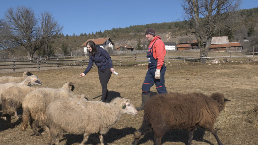 Gradska cura stigla u Margetiće i sve što želi je više stoke i zemlje