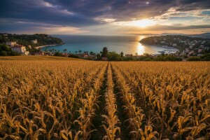 50. obljetnica simpozija hrvatskih agronoma