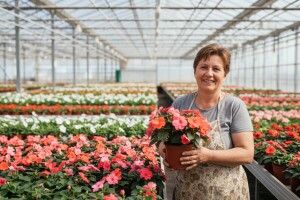 50 vrsta raznog cvijeća, 50 proljetnih  izazova!