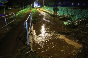 Ne pamte ovakav potop: Dalj pogodilo olujno nevrijeme, mještani spašavali stoku