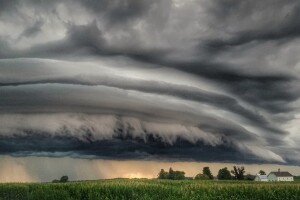 Oluja Derecho u SAD-u 'čupala' silose, uništila farme, a usjeve sravnila sa zemljom