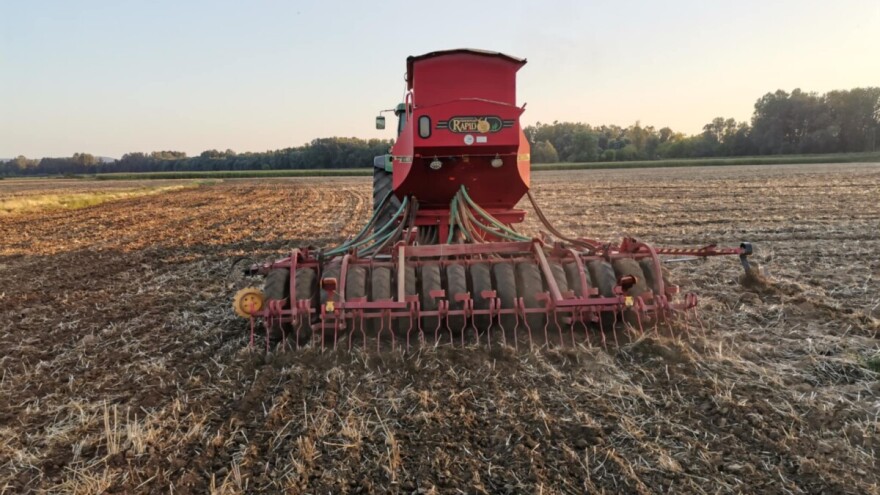 Zelena gnojidba: Stari trik za nove izazove u poljoprivredi