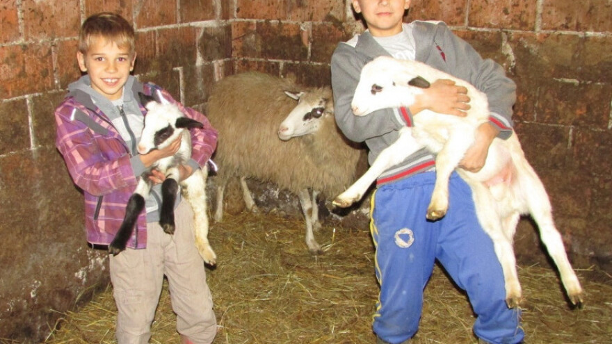 Peteročlana porodica Samardžija zamijenila grad selom