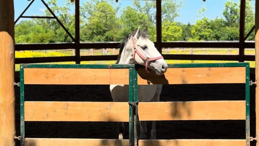 Ergela "Vučijak" dobija eksperimentalno-edukativni centar