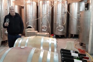 Ambicije vinarije Matić: Proširiti prodaju i izvoziti na europsko tržište