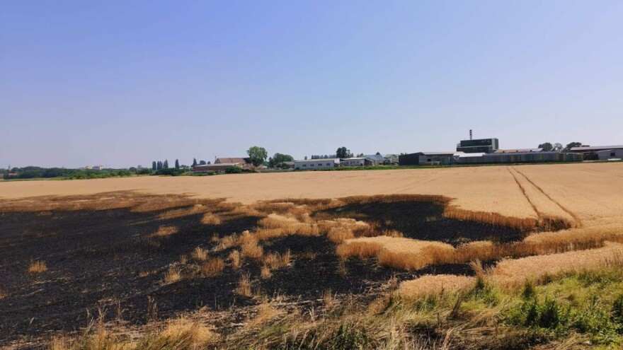 Izgorjela polja pšenice. Vatrogasci: izbjegavajte bilo kakva paljenja!