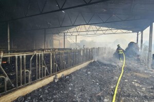 Dva gotovo istovremena požara: Vatra progutala staju, električni pastir zapalio zob