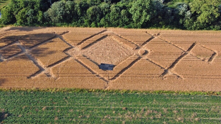 U pšenici osvanuo zapanjujuć prizor: Napravili žitni labirint s posavskim motivom