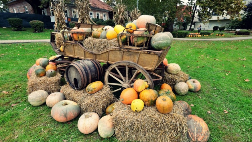 Ivanić-Grad 21. Bučijadom slavi jesen kroz tri dana