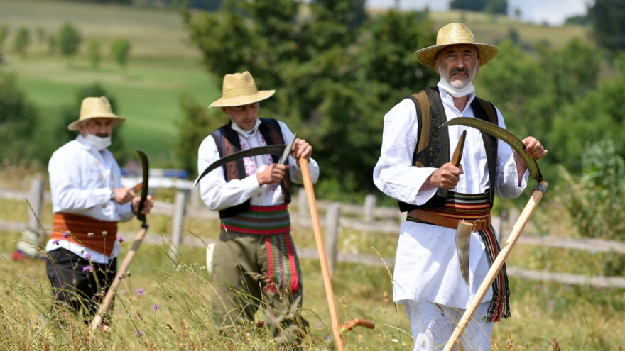 Kosidba na Rajcu bez publike, ali livada ipak pokošena