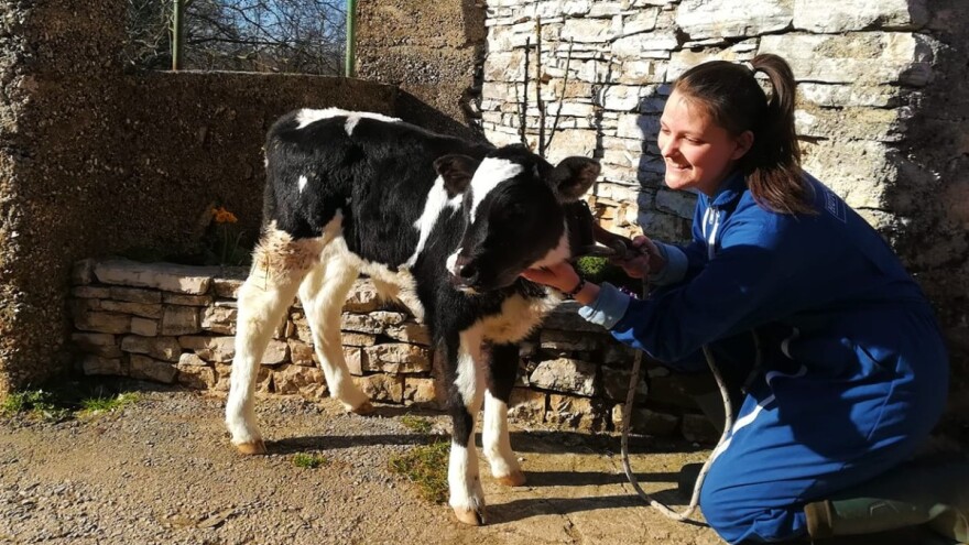 Kašćergani - mjesto gdje mladi ostaju u poljoprivredi