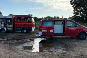Tragedija na farmi: 25 goveda upalo u jamu s gnojnicom, više ih uginulo