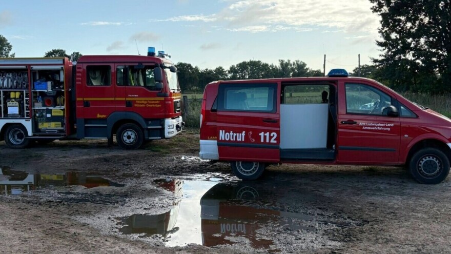 Tragedija na farmi: 25 goveda upalo u jamu s gnojnicom, više ih uginulo