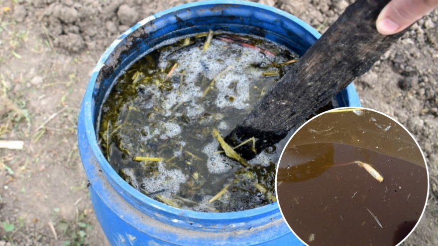 Koliko, pre prskanja, treba držati korovske trave u vodi?