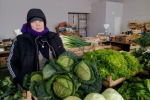 Jelena Dodig: 10 KM za divlje zelje je prikladna cijena