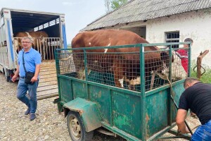 Junice stigle u dobojska domaćinstva: Za mnoge porodice su i nova nada