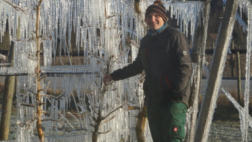 Štitili voćke od mraza i dobili spektakularan prizor