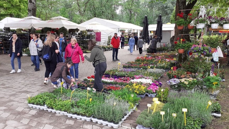 Čak 100.000 sadnica čeka ljubitelje cvijeća na 57. Floraartu na Bundeku!