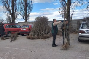 Raste broj voćnjaka u Vlasenici: Podijeljeno 4.800 sadnica za 70 poljoprivrednika