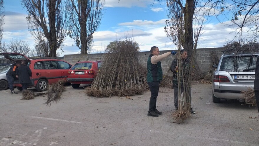Raste broj voćnjaka u Vlasenici: Podijeljeno 4.800 sadnica za 70 poljoprivrednika