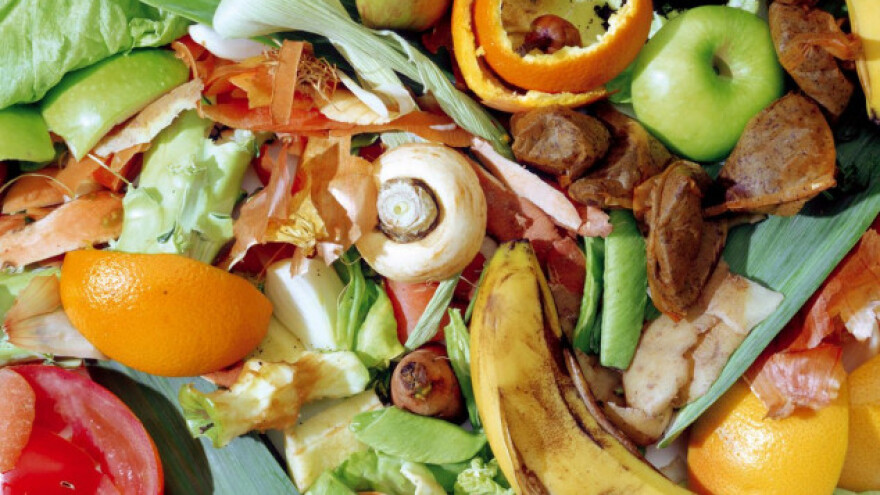 Bacanja hrane - pritisak na poljoprivredu