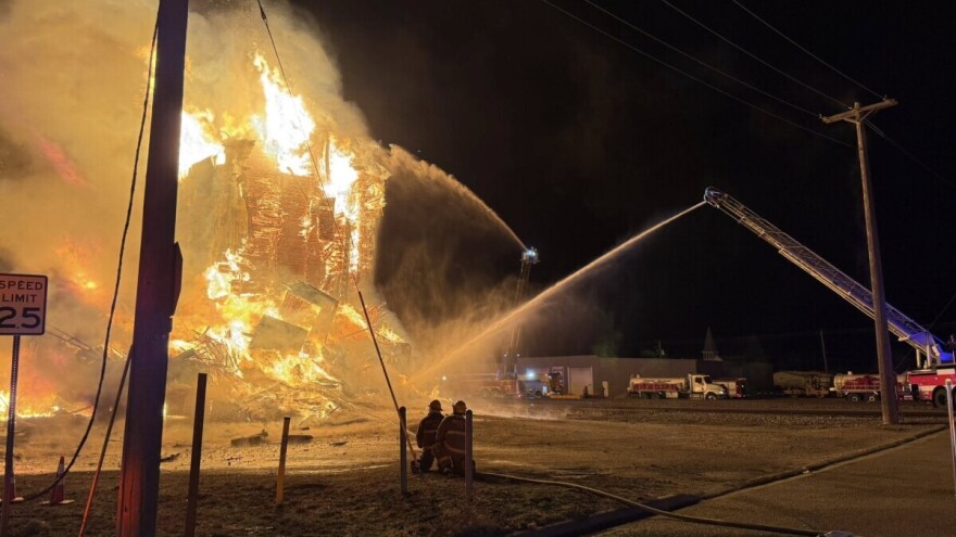 Šumski požar zahvatio silos, izgorelo 20.000 tona suncokreta