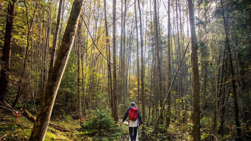 Kampanja 'Više zelenih gradova za Europu' udružilo 13 zemalja