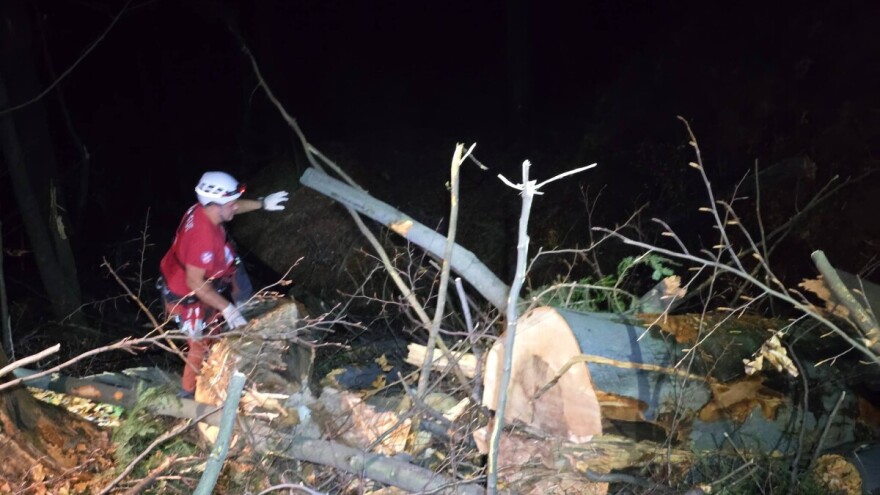 Smrt na terenu: Mladić poginuo tokom šumskih radova iznad Želeće