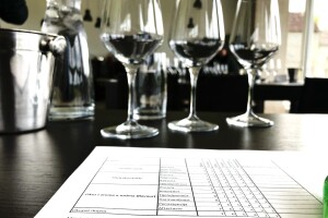 Cvit razgovora - kujundžuša wine festival 2019. u Imotskom