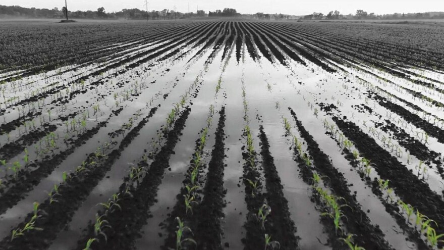 Riješite se viška vode na poljima - dreniranjem ostvarite veće prinose!