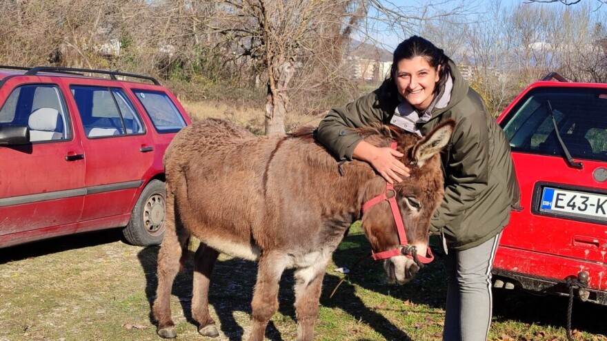 Magarci jesu tvrdoglavi, ali su ih Hercegovci "natjerali" na utrku