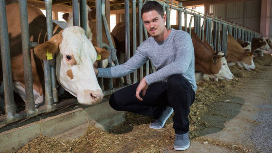 Obitelj Gašić gotovo dva desetljeća muku muči s istim problemom - poljoprivrednim zemljištem