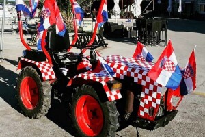 Od traktora, preko krava, koza i pečenih odojaka - svi su u kockicama!