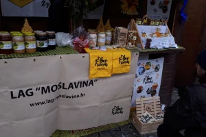 Projekt "Bee friends" povezao hrvatske i poljske pčelare u razmjeni iskustava