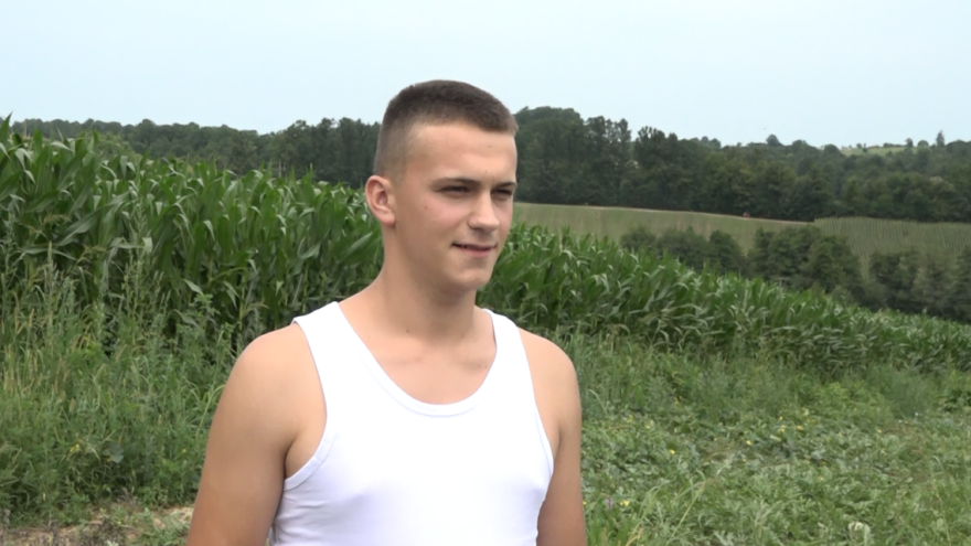 Drugari u provodu, a Stefan na traktoru i u polju lubenica: "Bude i vrućina, ali poranimo"