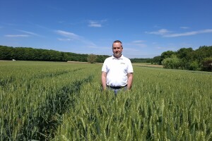 Ne riskirajte sezonu - neoriginalno sjeme nevidljiva je prijetnja prinosu