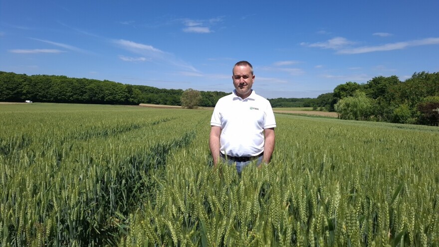 Ne riskirajte sezonu - neoriginalno sjeme nevidljiva je prijetnja prinosu