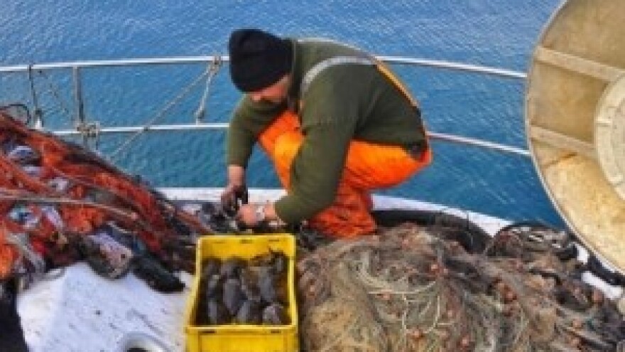 Najavljeno smanjenje ribolovnih kvota