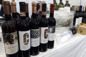 S Pijanih brda na vinske liste - hercegovačka vina osvajaju Decanterove suce