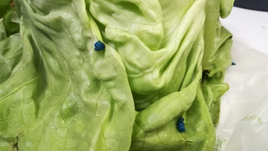 Zelena salata sa plavim mrljama završila u rukama potrošača. Inspekcije se to ne tiče?