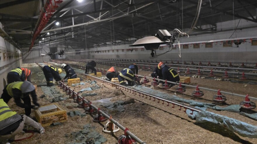 Požar na farmi u Velikom Bukovcu: Uginule tisuće pilića, oštećena oprema