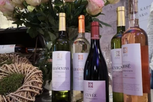 Tek im je treća berba, a već su pobrali nagrade, Vinarija Kaptol gradi dobru priču