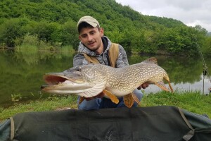Dva kapitalca u dva dana na jezeru Starača
