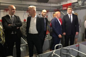 Nukleus farma tvrtke Žito: Kreće uzgoj krmača s vrhunskim genetskim materijalom