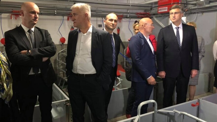 Nukleus farma tvrtke Žito: Kreće uzgoj krmača s vrhunskim genetskim materijalom