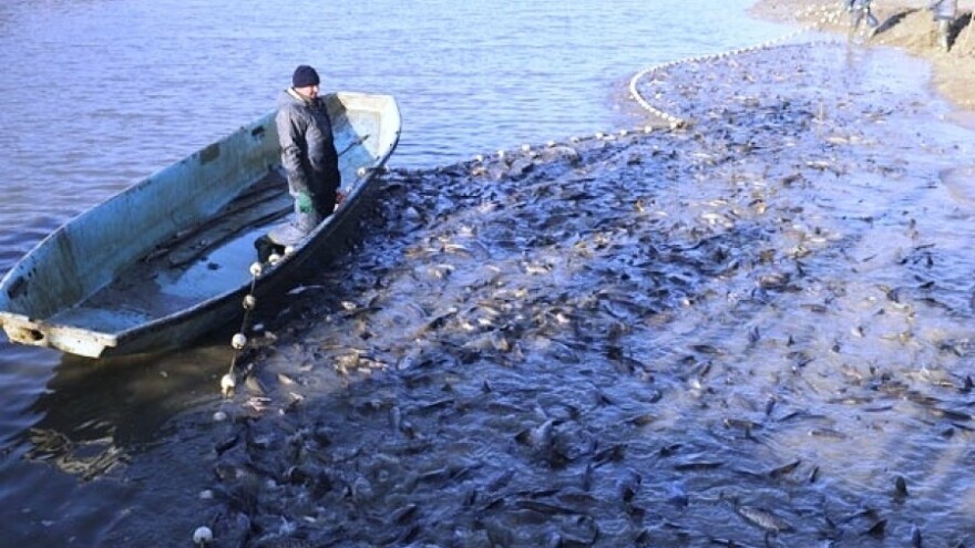 Rekonstruisat će ribnjake: Planiraju proizvesti 500 tona ribe godišnje